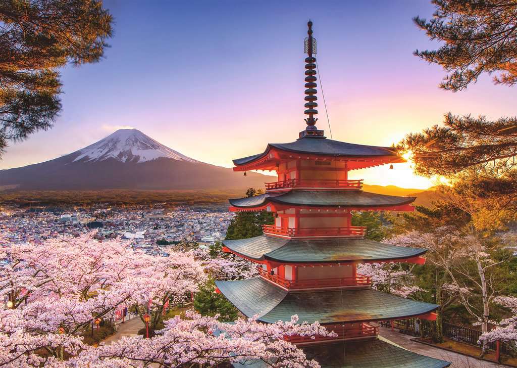 Puzzle: Kirschblüte in Japan (1000 Teile)