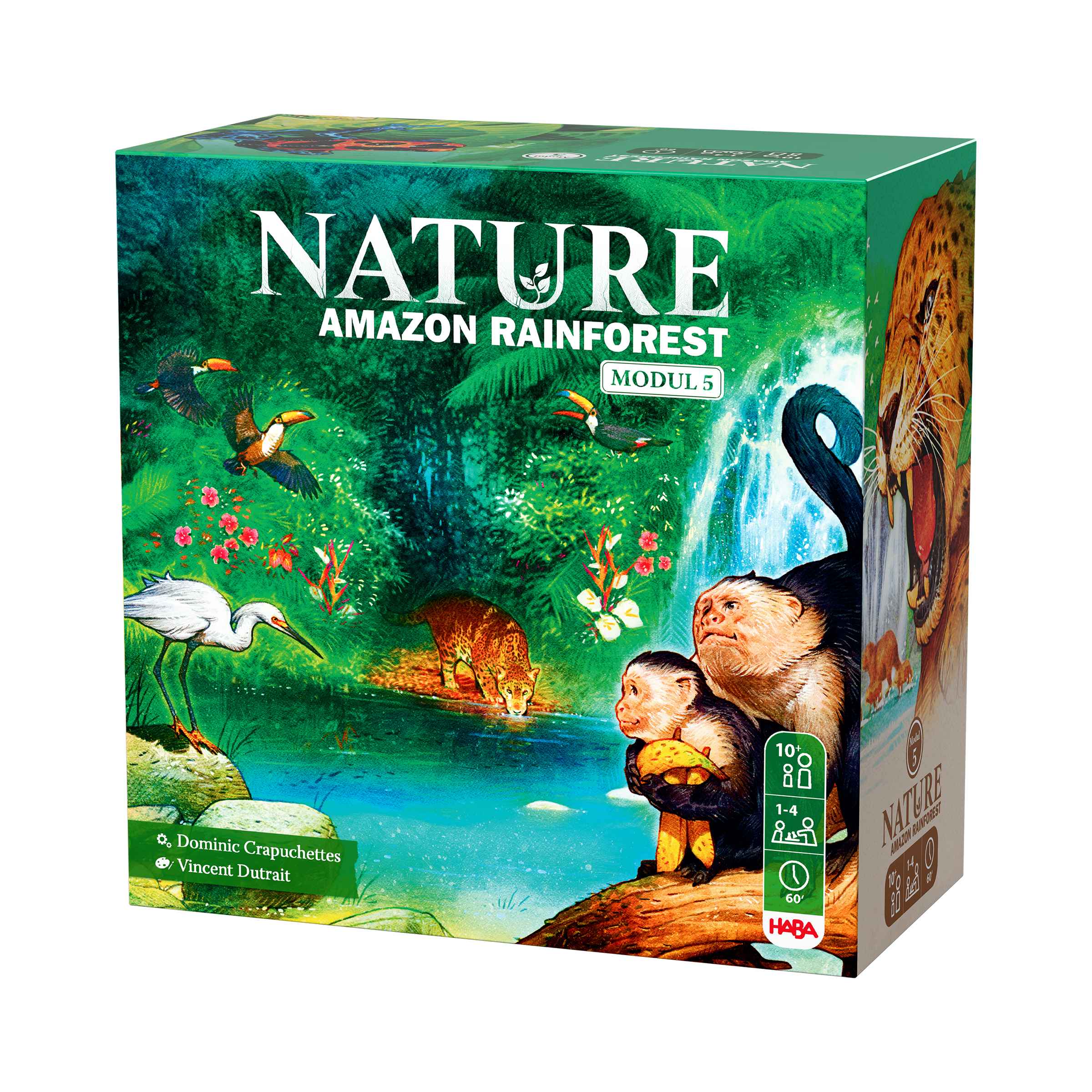 Nature Amazon Rainforest