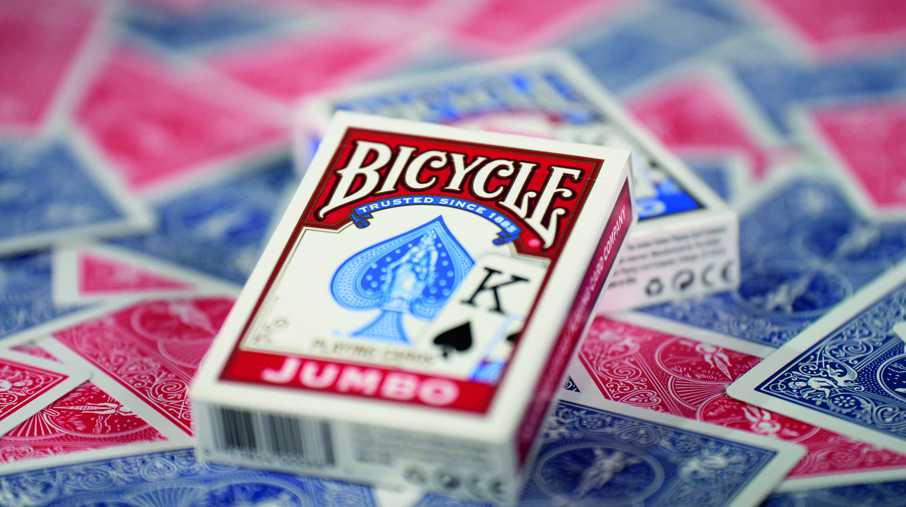 Bicycle Rider Back Jumbo Index