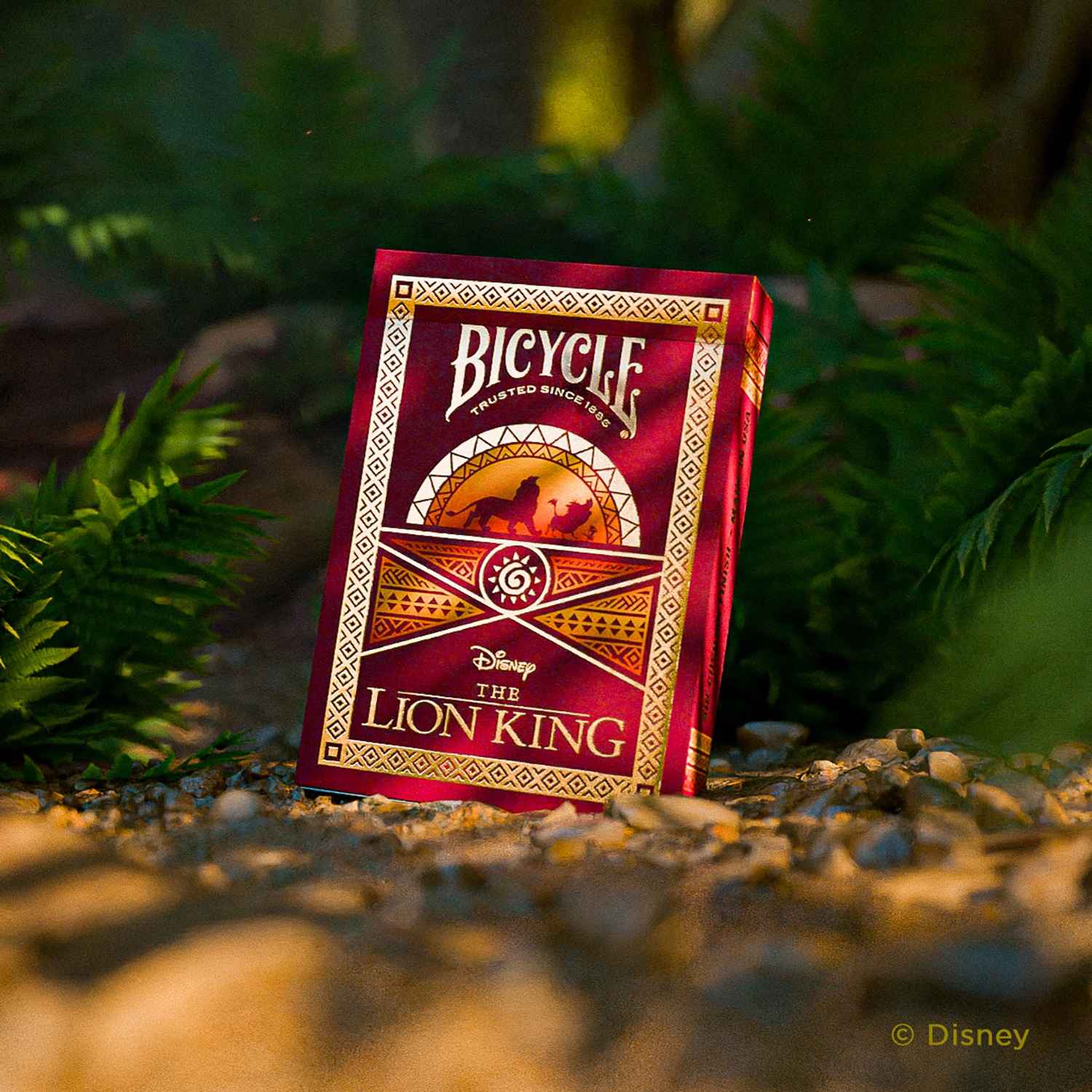 Bicycle Disney Lion King