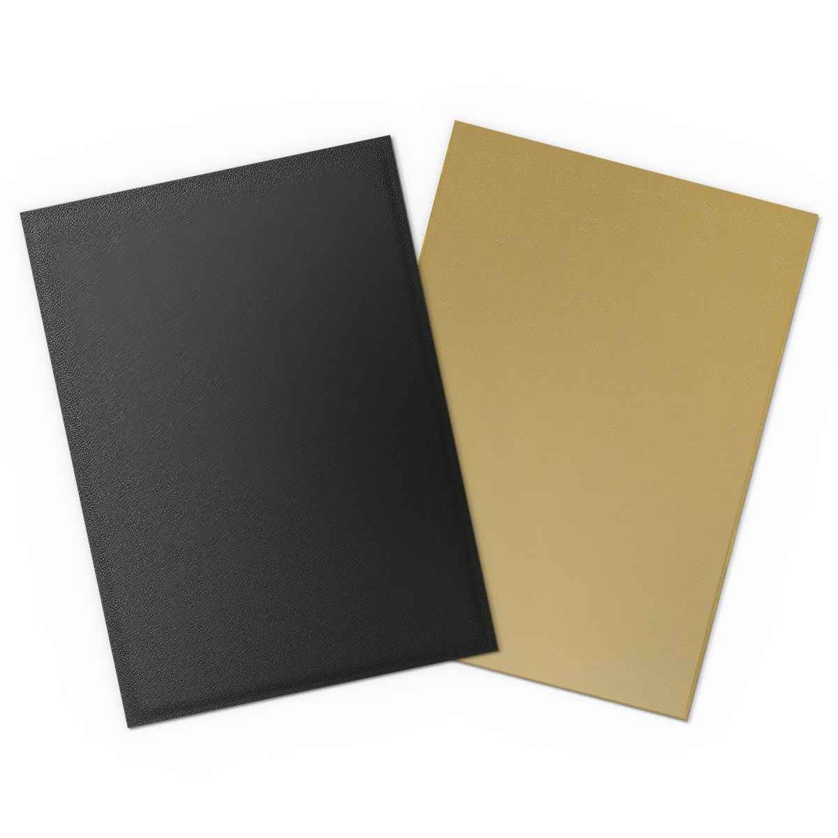 Dragon Shield: Matte Dual – Black & Gold