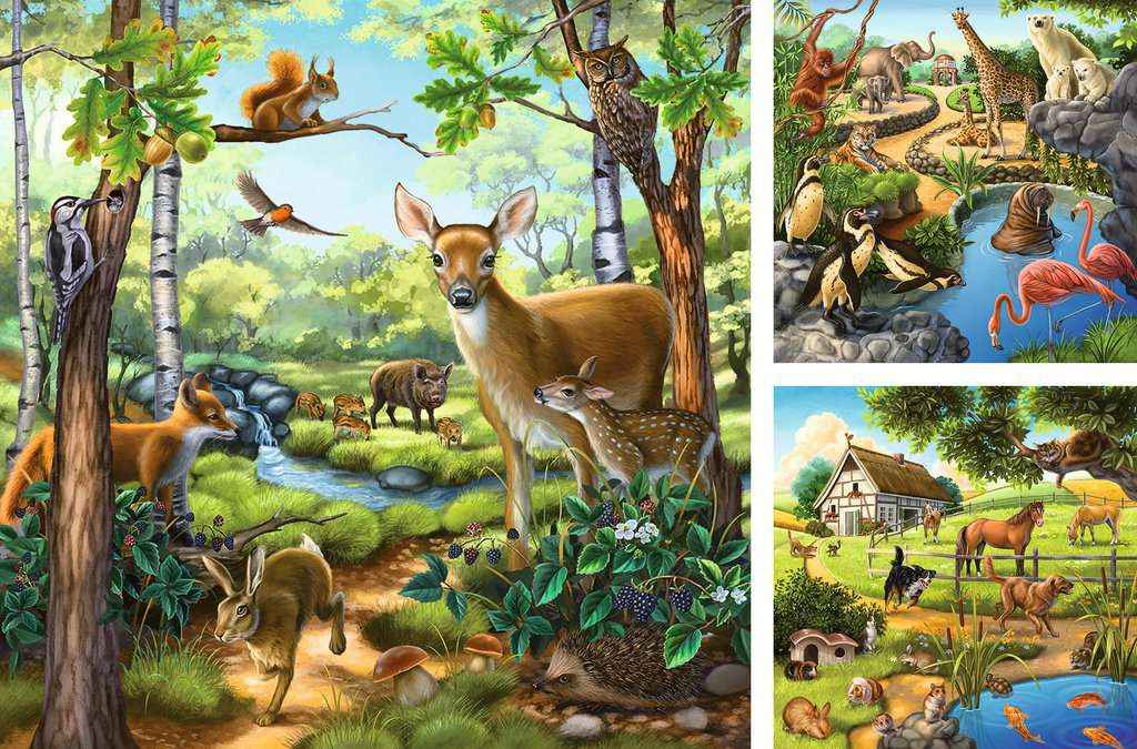 Puzzle: Wald-/Zoo-/Haustiere (3x49 Teile)