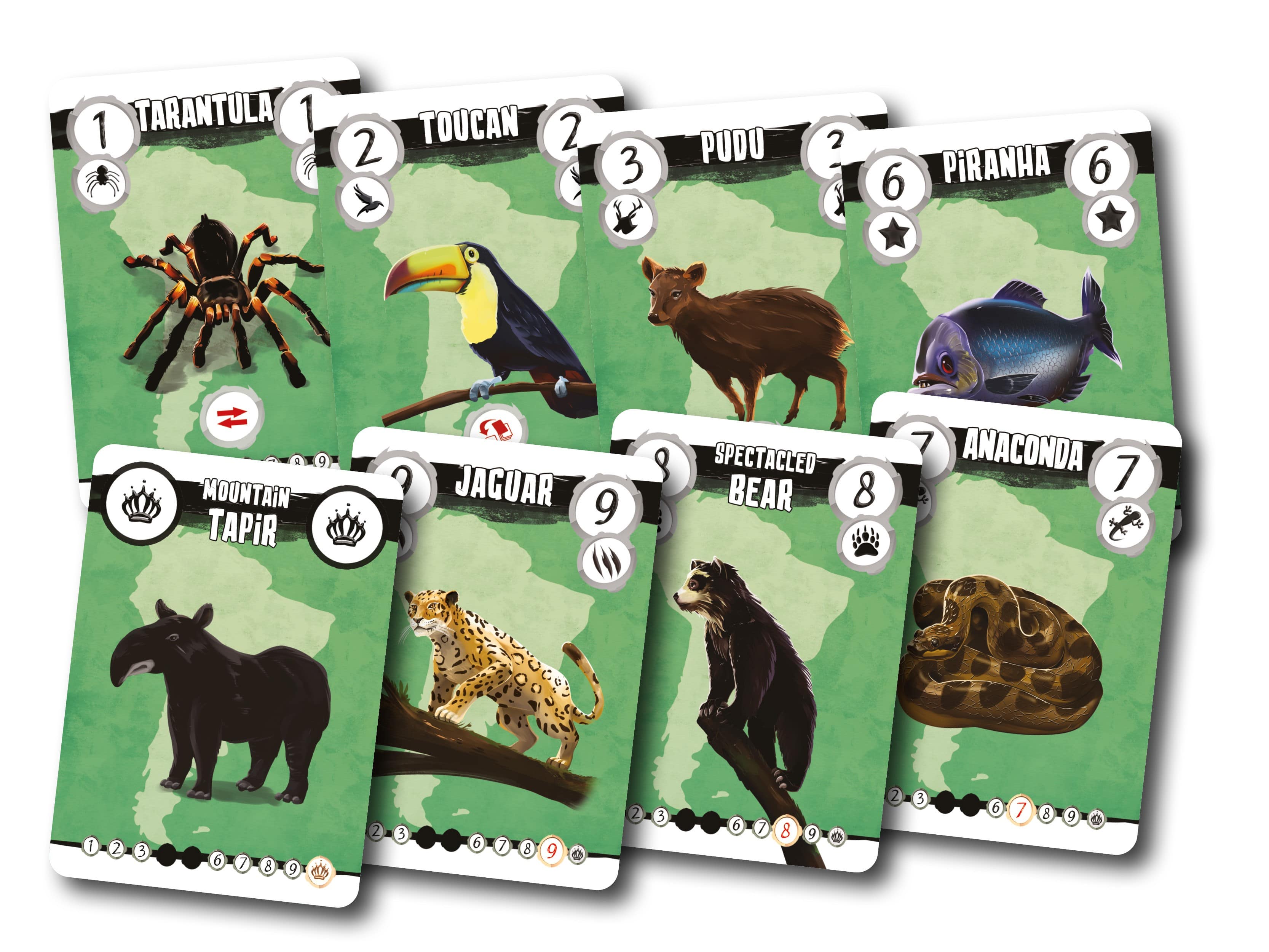 Animalia: Preventing Extinction