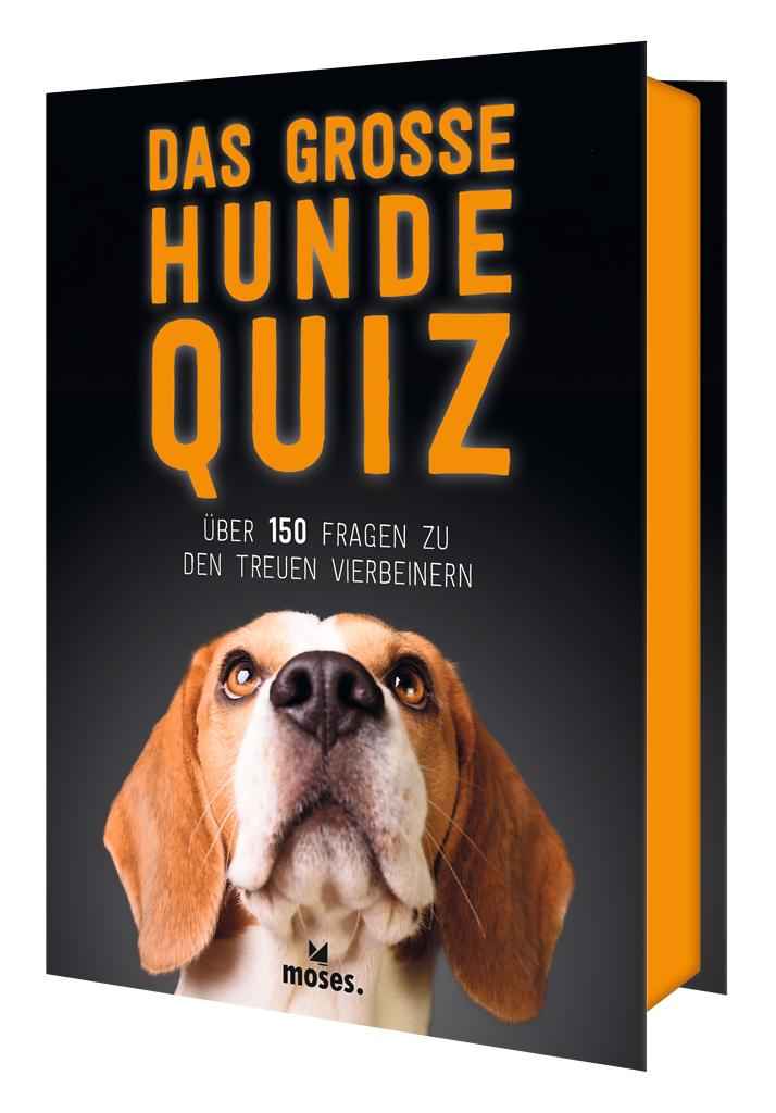 Das große Hund Quiz