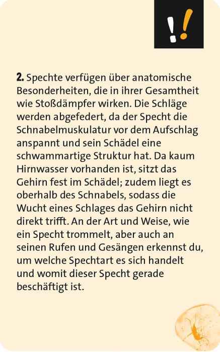 Quizzen & Wissen: Alltagsrätsel