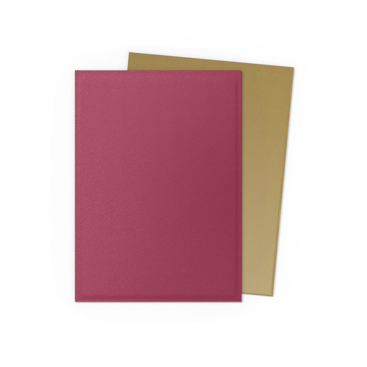 Dragon Shield: Matte Dual – Pomegranate & Gold