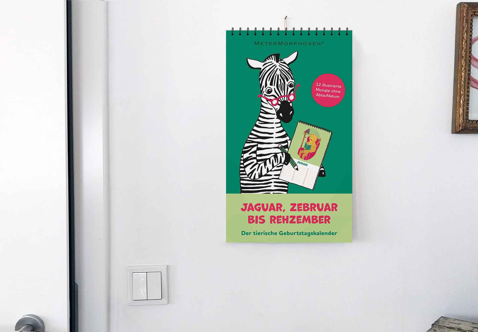 Jaguar, Zebruar bis Rehzember