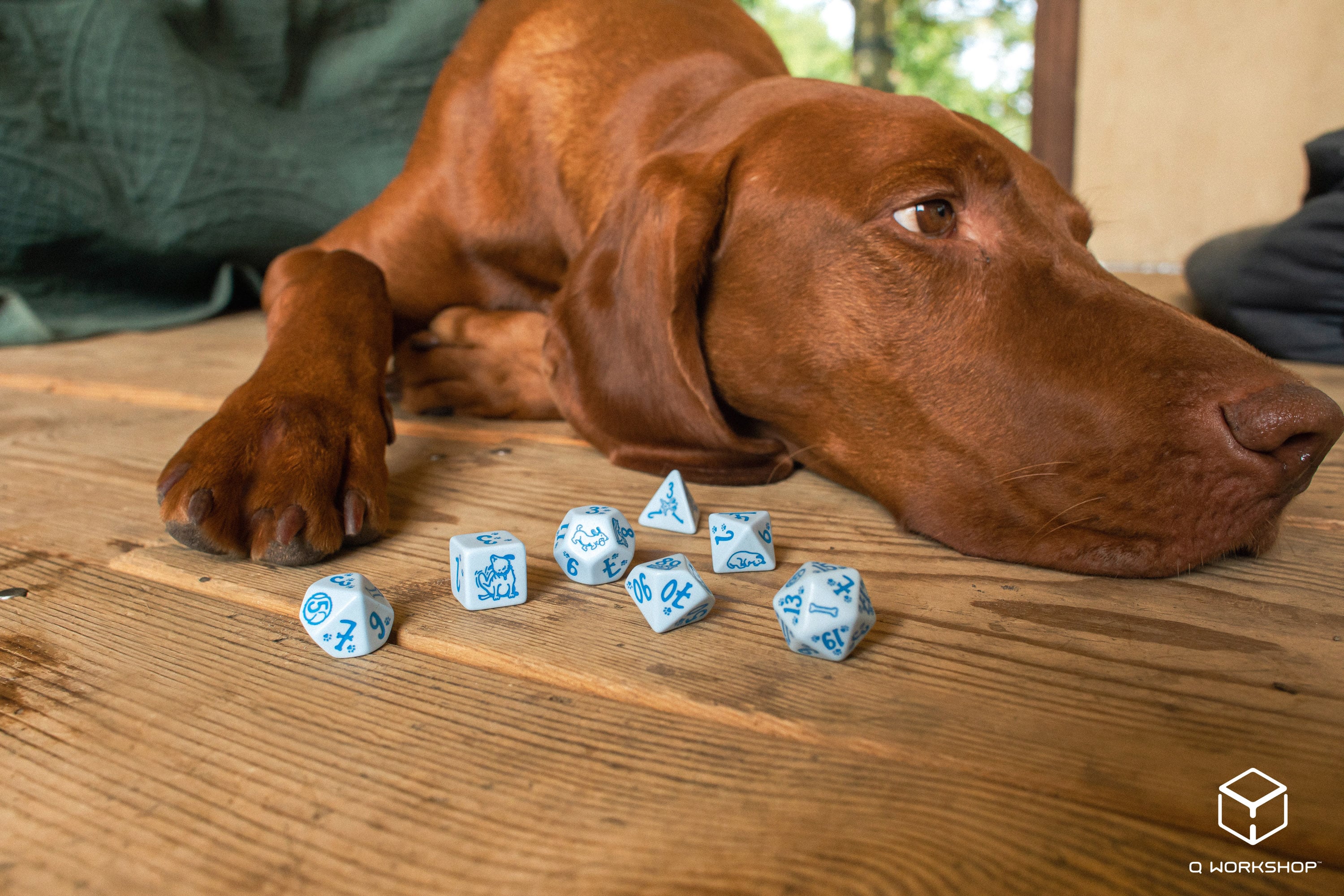 DOGS Dice Set: Max (7)