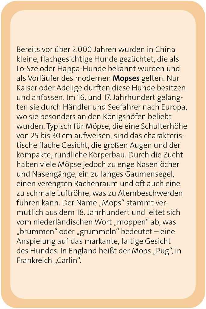 Das große Hund Quiz