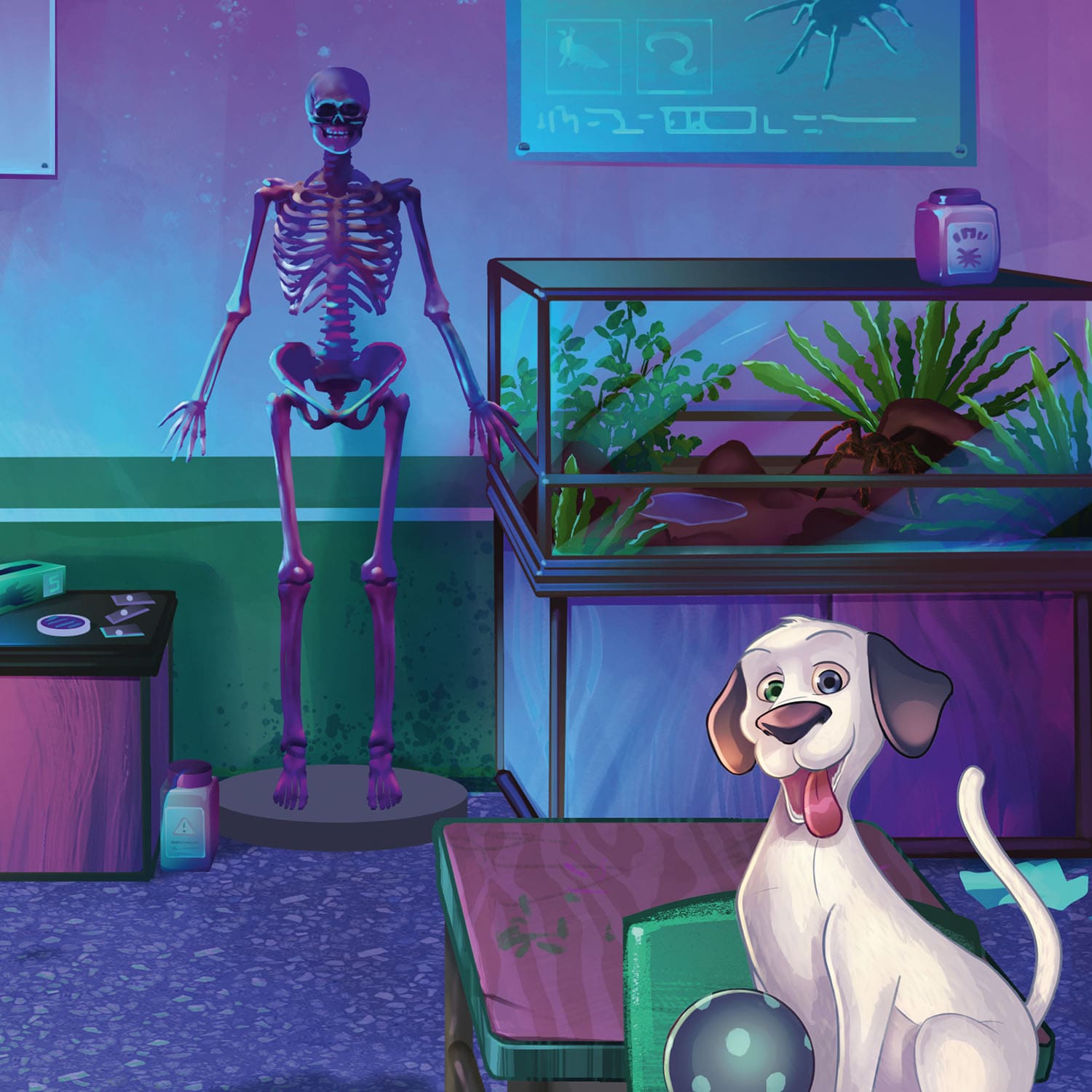 Adventure Games – Family Dimension Fünf-Sieben