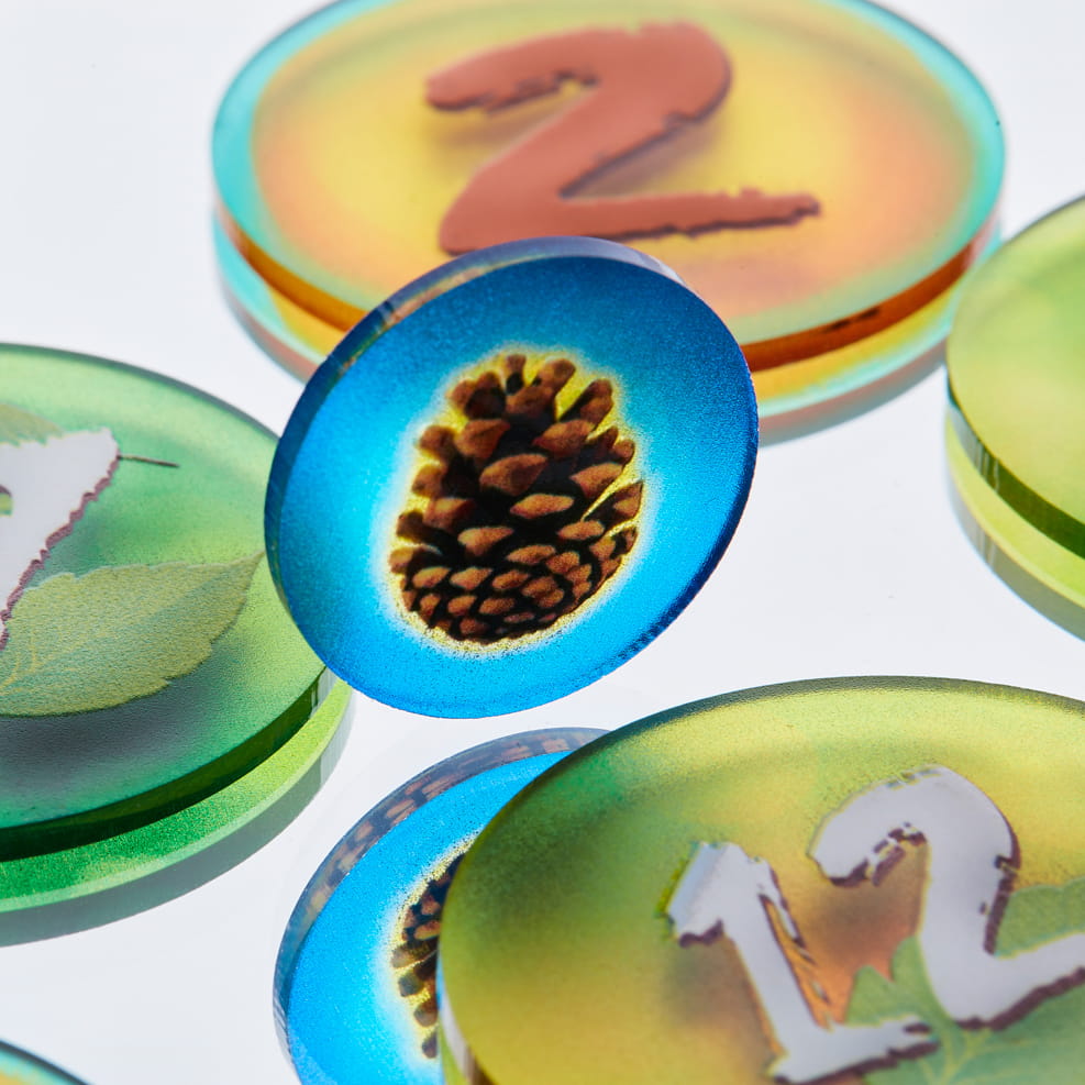 Token and Markers: Photosynthesis Token Set