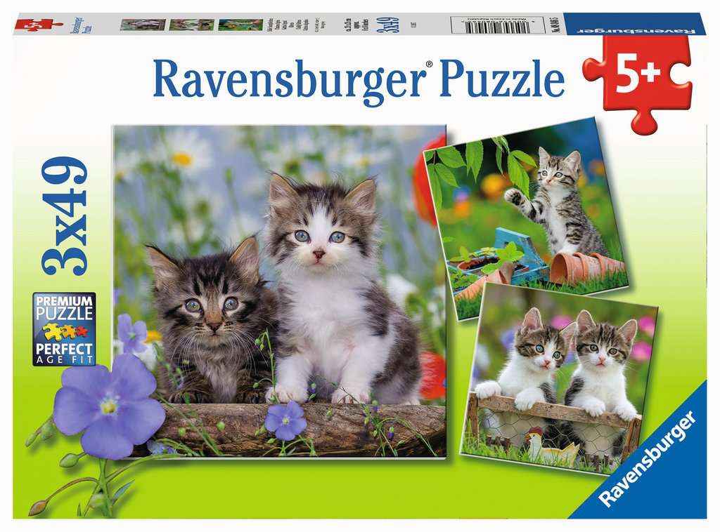 Puzzle: Süße Samtpfötchen (3x49 Teile)
