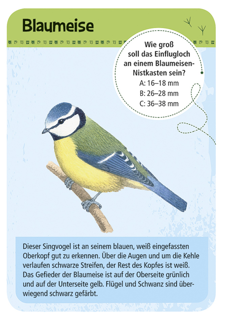 Expedition Natur – 50 heimische Vögel