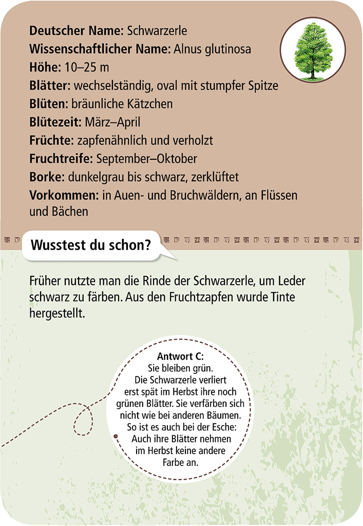 Expedition Natur – 50 heimische Bäume