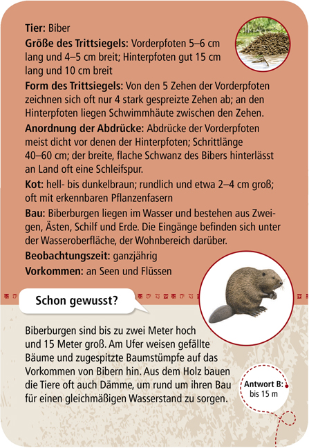 Expedition Natur – 50 Tierspuren