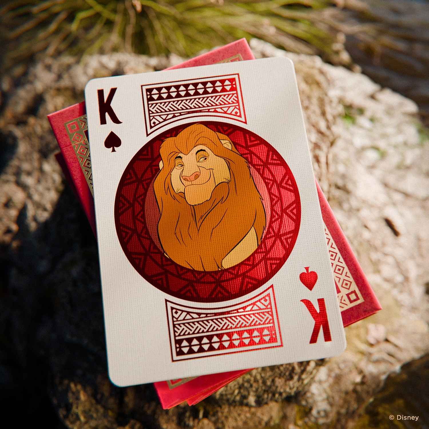 Bicycle Disney Lion King
