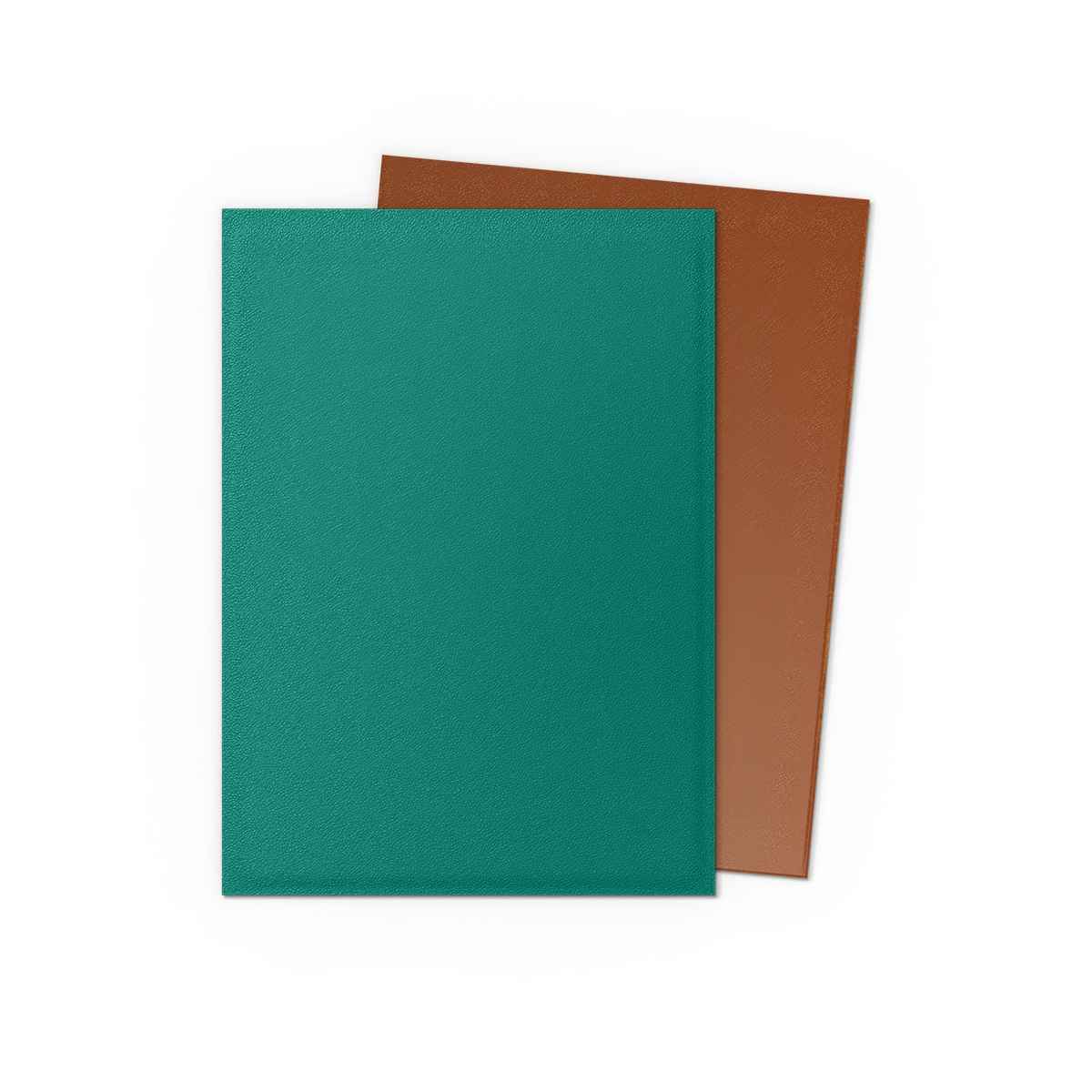 Dragon Shield: Matte Dual– Power & Copper