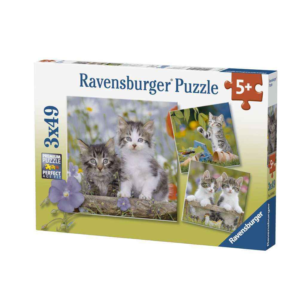 Puzzle: Süße Samtpfötchen (3x49 Teile)