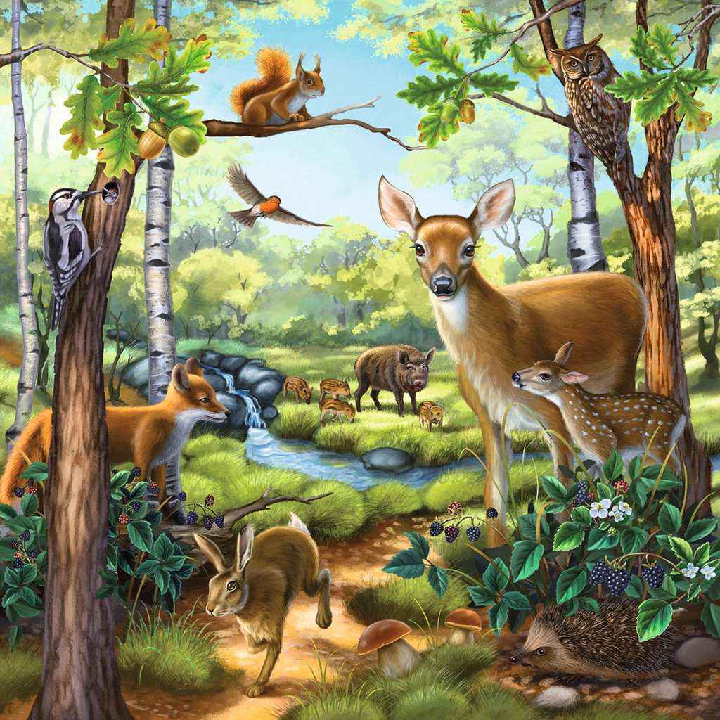 Puzzle: Wald-/Zoo-/Haustiere (3x49 Teile)